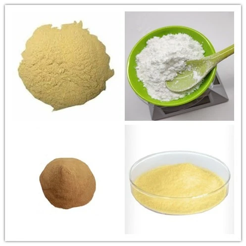 CAS No.69847-45-6 | L-Tyrosine Disodium Salt Hydrate